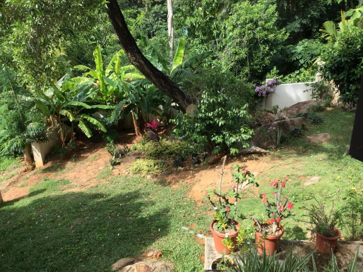 אנסה רויאל Bougainvillas Seychelles מראה חיצוני תמונה