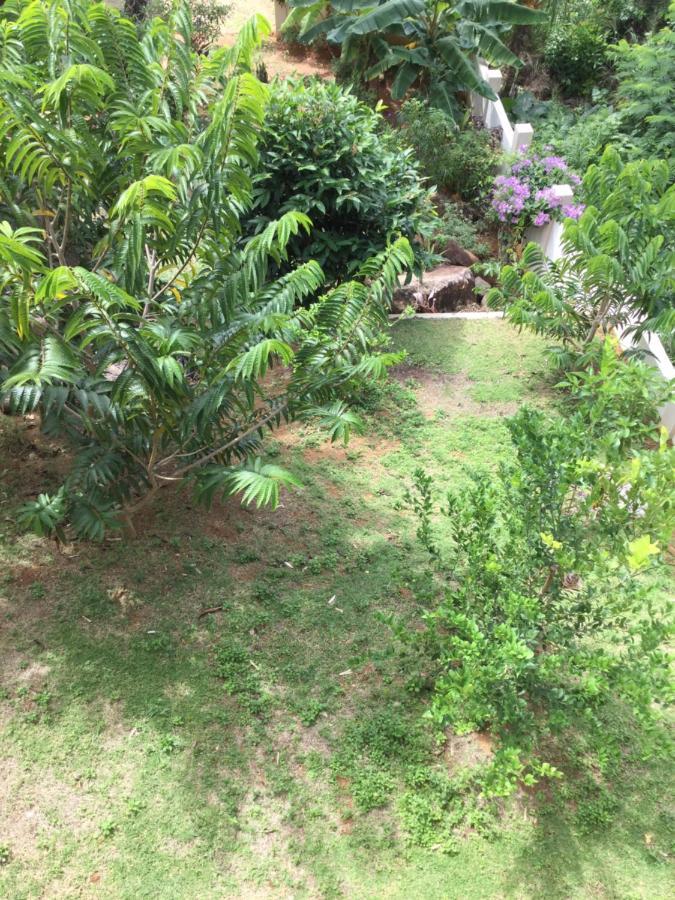 אנסה רויאל Bougainvillas Seychelles מראה חיצוני תמונה