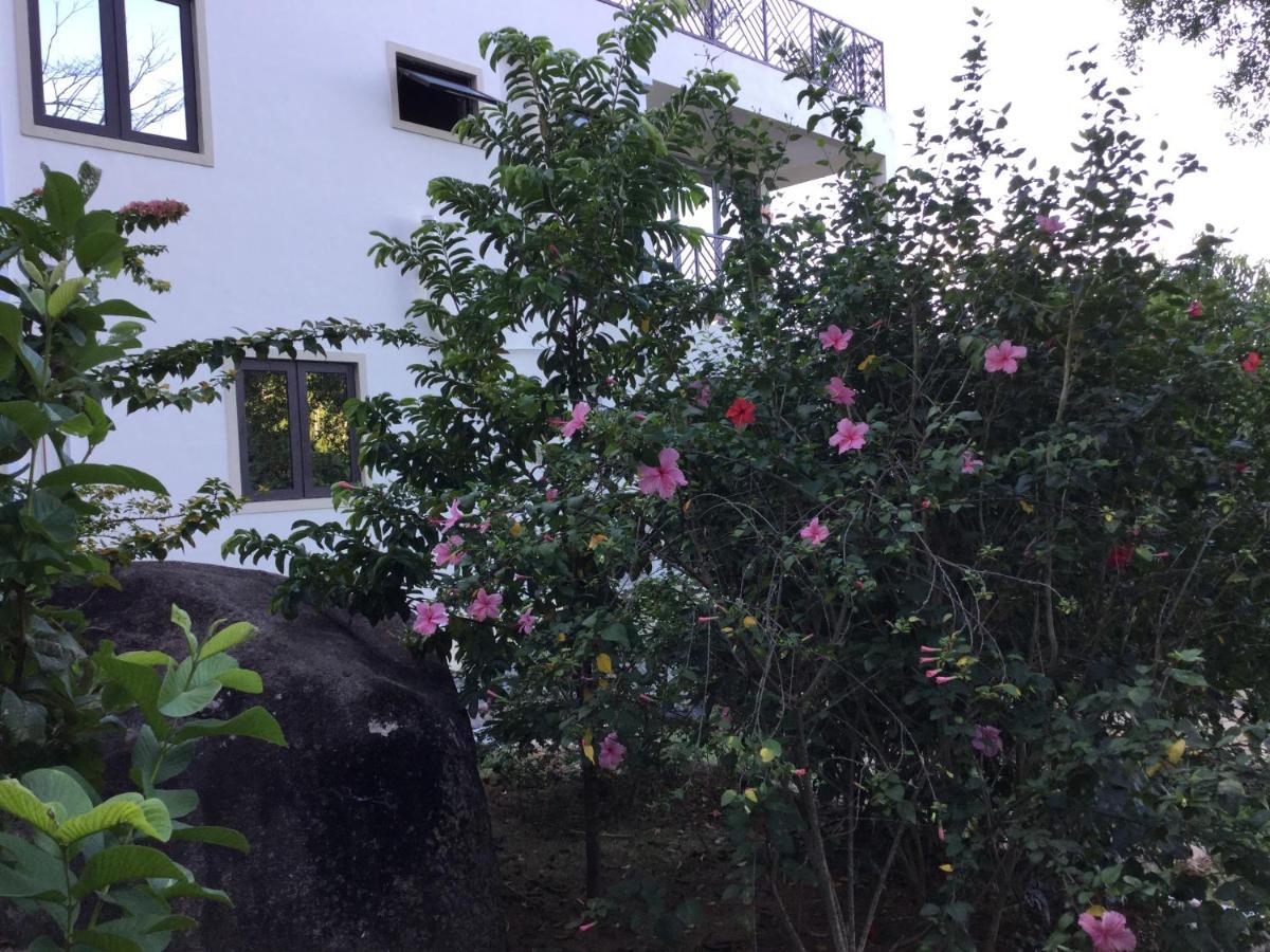אנסה רויאל Bougainvillas Seychelles מראה חיצוני תמונה