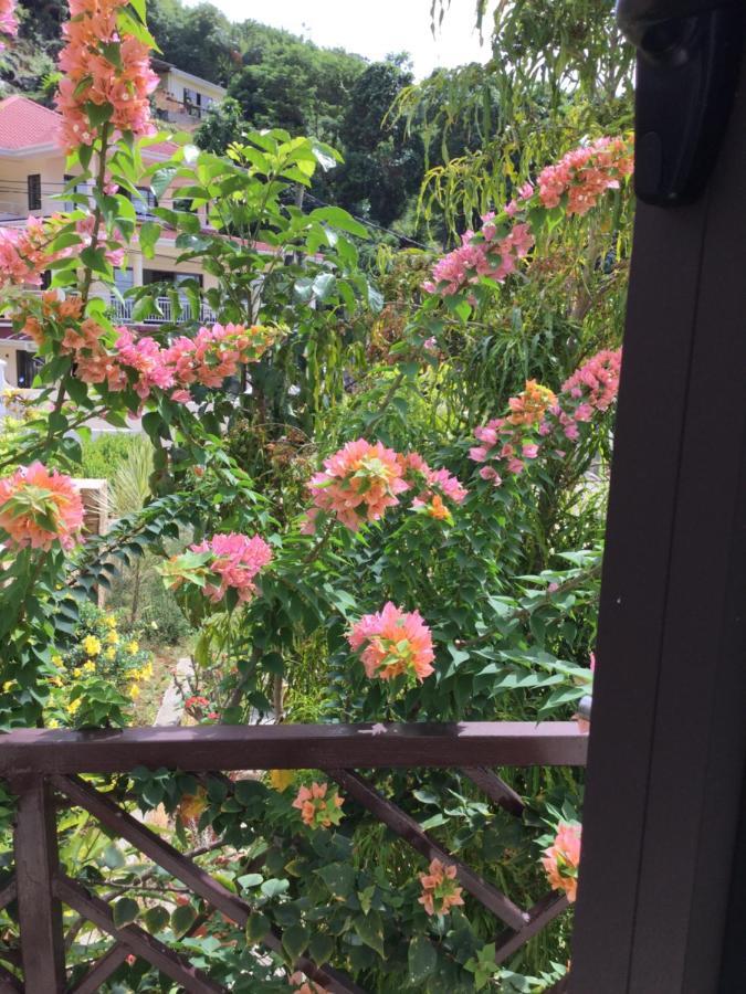 אנסה רויאל Bougainvillas Seychelles מראה חיצוני תמונה