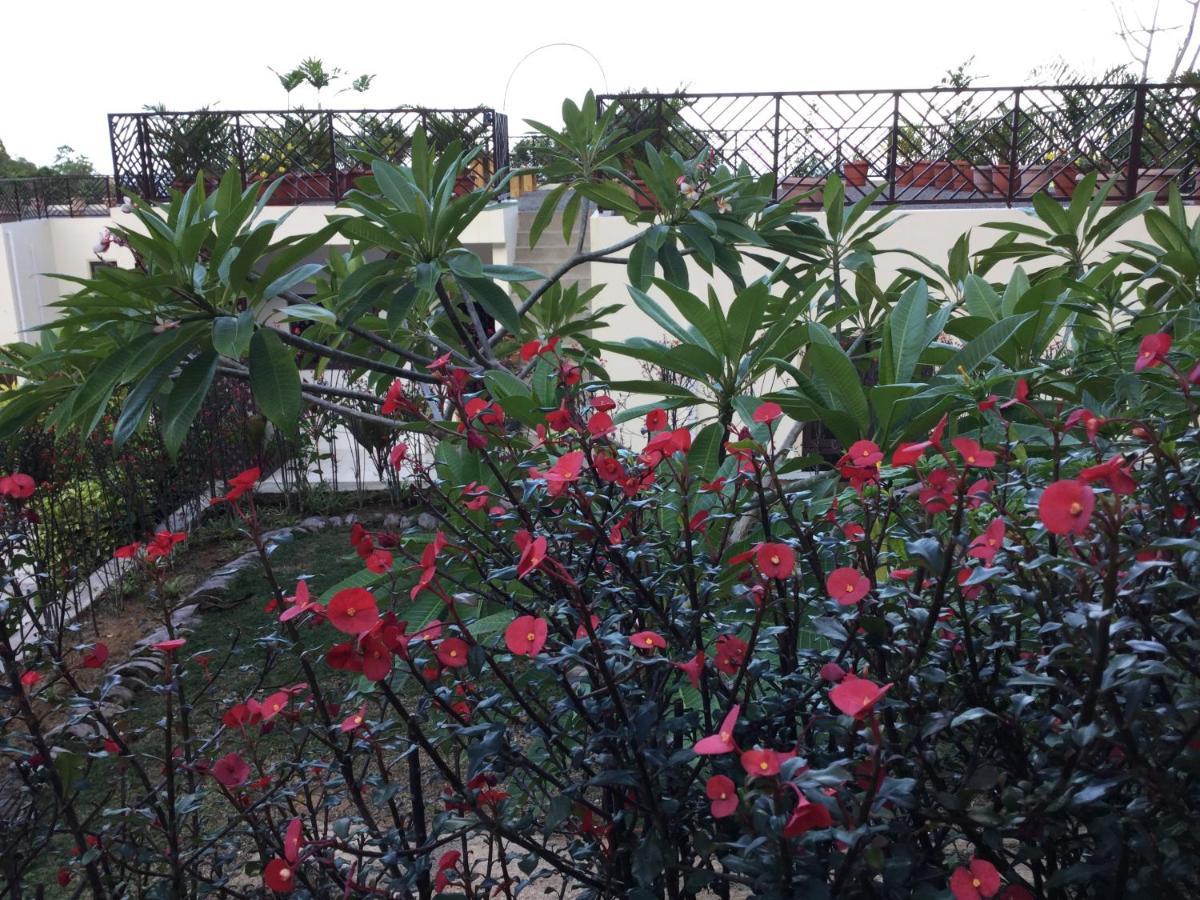 אנסה רויאל Bougainvillas Seychelles מראה חיצוני תמונה