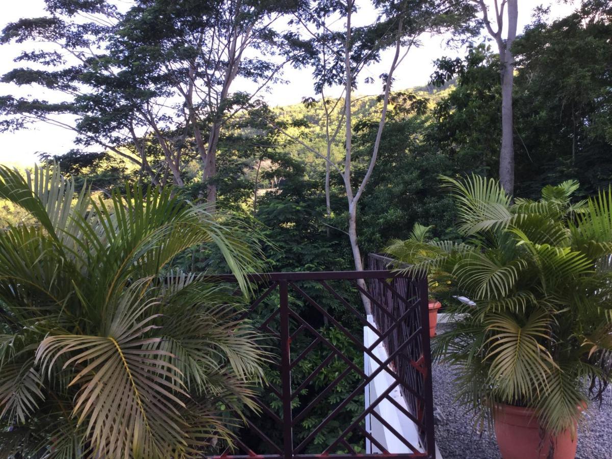 אנסה רויאל Bougainvillas Seychelles מראה חיצוני תמונה