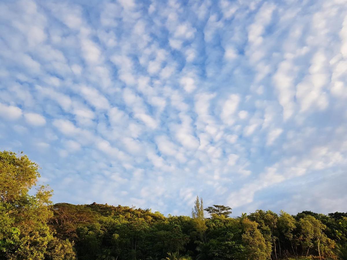 אנסה רויאל Bougainvillas Seychelles מראה חיצוני תמונה